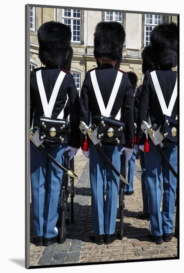 Guards at Amalienborg Royal Palace, Copenhagen, Denmark, Scandinavia, Europe-Yadid Levy-Mounted Photographic Print