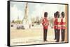Guards at Buckingham Palace, London, England-null-Framed Stretched Canvas