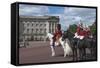 Guards Officer and Escort Awaiting Guards Detachments Outside Buckingham Palace-James Emmerson-Framed Stretched Canvas