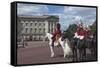 Guards Officer and Escort Awaiting Guards Detachments Outside Buckingham Palace-James Emmerson-Framed Stretched Canvas