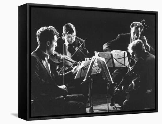 Guarneri Quartet: Arnold Steinhardt, John Daley, Michael Tree and David Soyer-Gjon Mili-Framed Stretched Canvas