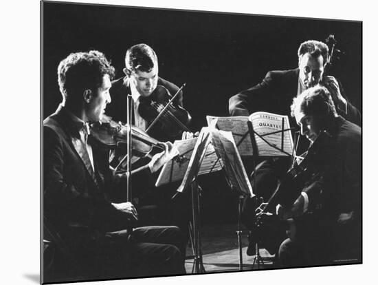 Guarneri Quartet: Arnold Steinhardt, John Daley, Michael Tree and David Soyer-Gjon Mili-Mounted Premium Photographic Print