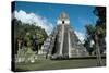 Guatemala, El Peten Department, Tikal National Park, Temple I-null-Stretched Canvas