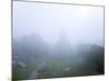 Guatemala, El Peten, Tikal, Gran Plaza, Temple of the Great Jaguar-Jane Sweeney-Mounted Photographic Print