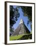 Guatemala, El Peten, Tikal, Gran Plaza, Temple of the Great Jaguar-Jane Sweeney-Framed Photographic Print