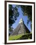 Guatemala, El Peten, Tikal, Gran Plaza, Temple of the Great Jaguar-Jane Sweeney-Framed Photographic Print