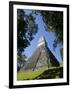 Guatemala, El Peten, Tikal, Gran Plaza, Temple of the Great Jaguar-Jane Sweeney-Framed Photographic Print