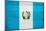 Guatemala Flag Design with Wood Patterning - Flags of the World Series-Philippe Hugonnard-Mounted Art Print