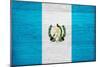 Guatemala Flag Design with Wood Patterning - Flags of the World Series-Philippe Hugonnard-Mounted Premium Giclee Print