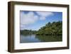 Guatemala, Izabal, Rio Dulce River. Jungle River View-Cindy Miller Hopkins-Framed Photographic Print