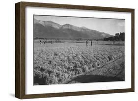 Guayule Field-Ansel Adams-Framed Art Print