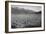 Guayule Field-Ansel Adams-Framed Art Print