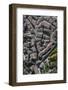 Gubbio, Historical Town, Town Centre, Church, Umbria-Frank Fleischmann-Framed Photographic Print