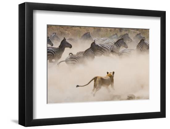 Photographic Print, , large