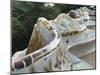 Guell Park (Parc Guell), UNESCO World Heritage Site, Barcelona, Catalunya (Catalonia), Spain-Nico Tondini-Mounted Photographic Print