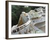 Guell Park (Parc Guell), UNESCO World Heritage Site, Barcelona, Catalunya (Catalonia), Spain-Nico Tondini-Framed Photographic Print