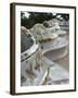 Guell Park (Parc Guell), UNESCO World Heritage Site, Barcelona, Catalunya (Catalonia), Spain-Nico Tondini-Framed Photographic Print