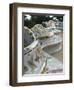 Guell Park (Parc Guell), UNESCO World Heritage Site, Barcelona, Catalunya (Catalonia), Spain-Nico Tondini-Framed Photographic Print