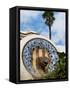 Guell Park (Parc Guell), UNESCO World Heritage Site, Barcelona, Catalunya (Catalonia), Spain-Nico Tondini-Framed Stretched Canvas