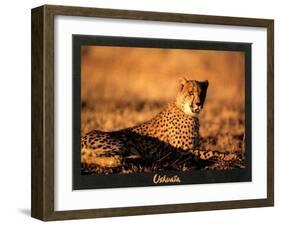 Guepard-Georges Bosio-Framed Art Print