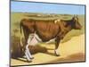 Guernsey Cow 1899-null-Mounted Art Print