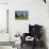 Guernsey Cow in Lush Spring Pasture and Buttercup Blossoms, Granby, Connecticut, USA-Lynn M^ Stone-Photographic Print displayed on a wall