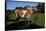 Guernsey Cow Throws Her Head Back Trying to Reach an Itch-Lynn M^ Stone-Framed Stretched Canvas