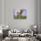 Guernsey Cows in Field of Dandelions, IL-Lynn M^ Stone-Photographic Print displayed on a wall