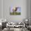 Guernsey Cows in Field of Dandelions, IL-Lynn M^ Stone-Photographic Print displayed on a wall
