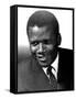 Guess Who's Coming to Dinner, Sidney Poitier, 1967-null-Framed Stretched Canvas