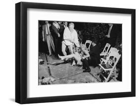 Guests Jump in Swimming Pool at the Last Party at the 'Garden of Allah,' Los Angeles, August 1959-Allan Grant-Framed Photographic Print