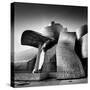 Guggenheim Bilbao-Nina Papiorek-Stretched Canvas