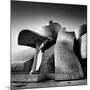 Guggenheim Bilbao-Nina Papiorek-Mounted Photographic Print