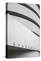 Guggenheim Museum, 5th Avenue, Manhattan, New York City, New York, USA-Jon Arnold-Stretched Canvas