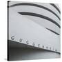 Guggenheim Museum, 5th Avenue, Manhattan, New York City, New York, USA-Jon Arnold-Stretched Canvas