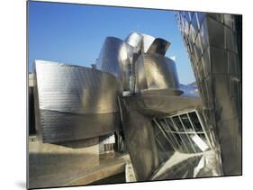 Guggenheim Museum, Bilbao, Euskadi (Pais Vasco), Spain-Peter Higgins-Mounted Photographic Print
