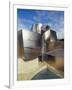 Guggenheim Museum, Designed by American Architect Frank O. Gehry, Opened 1997, Bilbao-Christopher Rennie-Framed Photographic Print