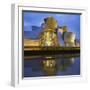 Guggenheim (Museum), Rio Ibaizabal, Bilbao, the Basque Provinces, Spain-Rainer Mirau-Framed Photographic Print