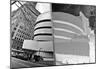 Guggenheim Reflection with Inversion-null-Mounted Poster