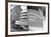 Guggenheim Reflection with Inversion-null-Framed Photo