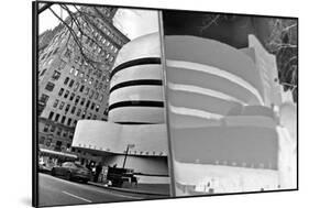 Guggenheim Reflection with Inversion-null-Framed Photo