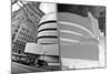 Guggenheim Reflection with Inversion-null-Mounted Photo