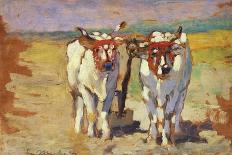 Pair of Oxen, 1910-1920-Guglielmo Micheli-Giclee Print