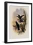 Guiana Violet-Ear, Petasophora Germana-John Gould-Framed Giclee Print