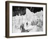 Guide Taking Tourists Through the Pinnacles and Crevices on Fox Glaciers-null-Framed Photographic Print