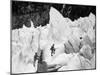 Guide Taking Tourists Through the Pinnacles and Crevices on Fox Glaciers-null-Mounted Photographic Print