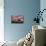 Guidepost-Michael Blanchette Photography-Mounted Photographic Print displayed on a wall