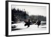 Guides Shooting Rapids, 1895-Winslow Homer-Framed Giclee Print