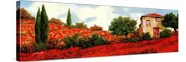 Stretched Canvas