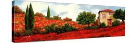 Stretched Canvas